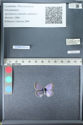 Media type: image;   Entomology 155855